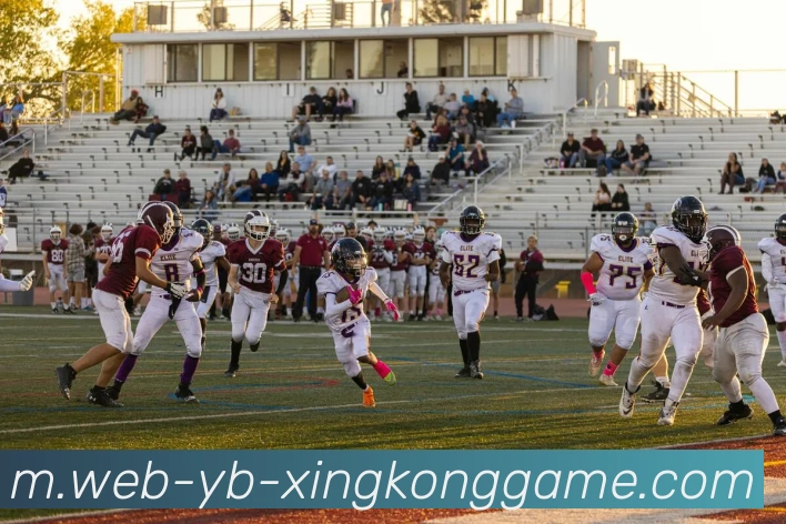 星空体育平台生态图