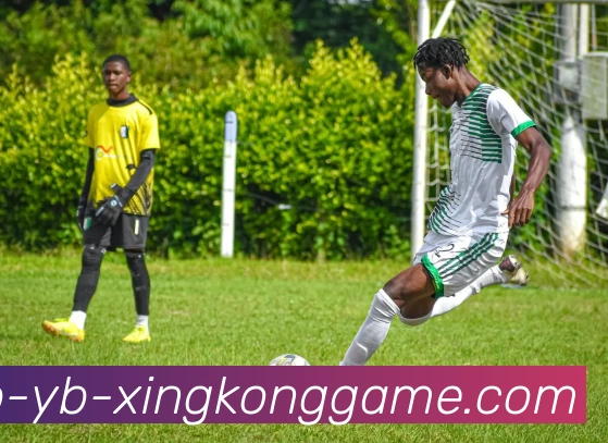 星空体育APP 封面图